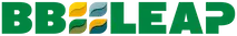 BBLeap logo